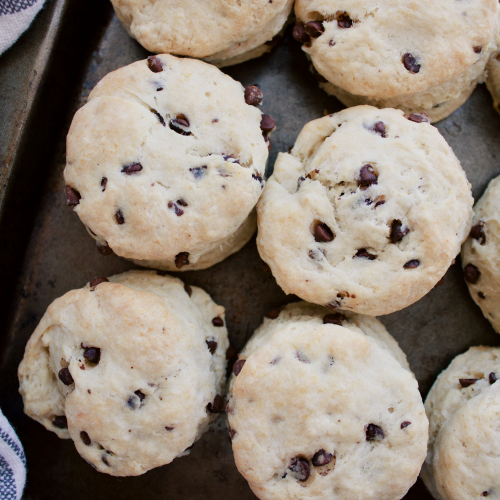 Chocolate Chip Cream Cheese Biscuits